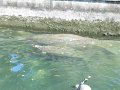 Kids_FL-Day2_11-2016 (127)